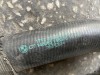 BMW F20 F30 F32 F36 B38 RADYATÖR ÜST SU HORTUMU 17128602027 ORJINAL ÇIKMA BMW F20 F30 F32 F36 B38 RADYATÖR ÜST SU HORTUMU 17128602027 ORJINAL ÇIKMA