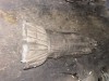BMW E36 1.8İS ÇİFT KARTEL GM 96017632 OTOMATİK ŞANZIMAN ORJİNAL ÇIKMA BMW E36 1.8İS ÇİFT KARTEL GM 96017632 OTOMATİK ŞANZIMAN ORJİNAL ÇIKMA
